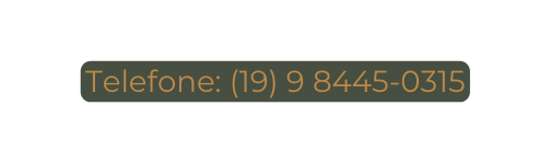 Telefone 19 9 8445 0315